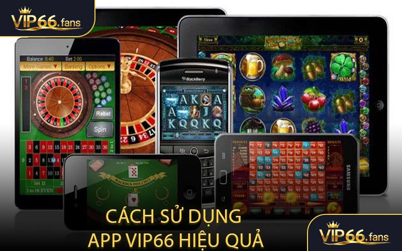 Cách sử dụng app VIP66 hiệu quả