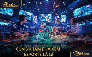 Cùng khám phá xem Esports là gì