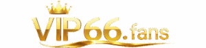 Logo vip66