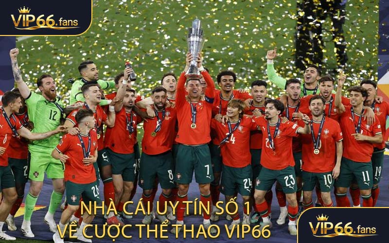 Nhà cái uy tín số 1 về cược thể thao hiện nay VIP66