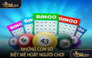 Những con số biết mê hoặt người chơi