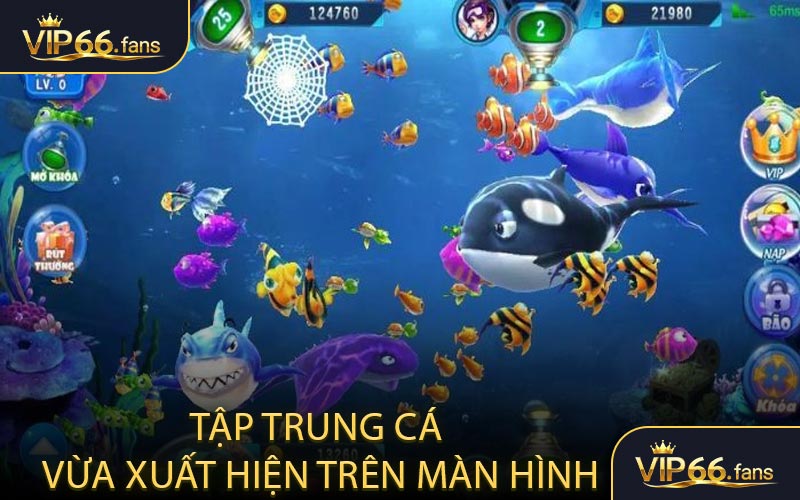 Tập trung cá vừa xuất hiện trên màn hình