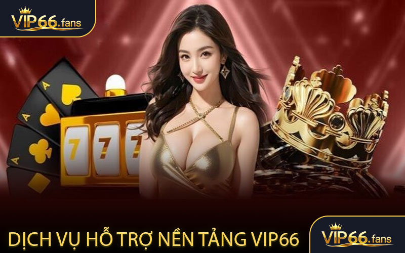 Tìm hiểu về dịch vụ hỗ trợ của nền tảng VIP66