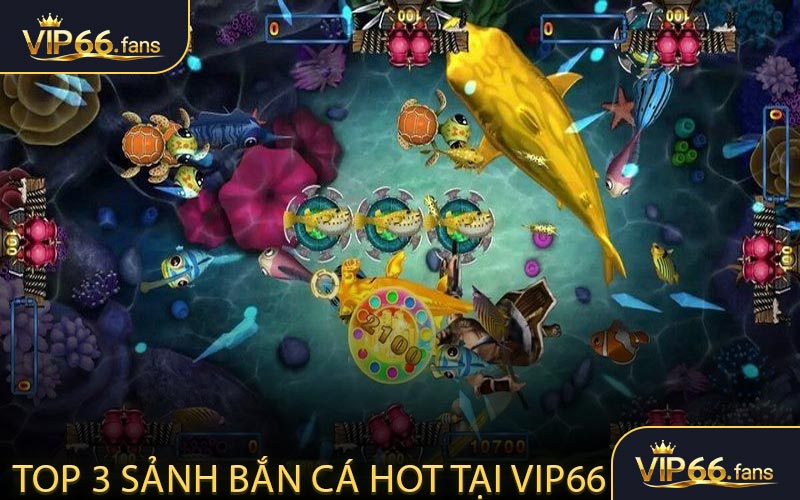 Top 3 sảnh bắn cá Hot nhất tại VIP66