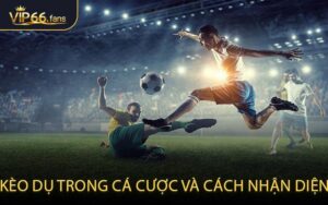 Kèo dụ trong cá cược và cách nhận diện