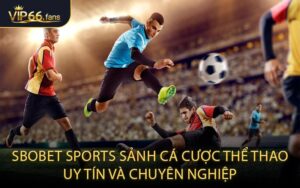 SBOBET Sports: Sảnh cá cược thể thao uy tín và chuyên nghiệp