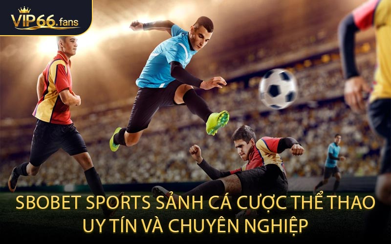 SBOBET Sports: Sảnh cá cược thể thao uy tín và chuyên nghiệp